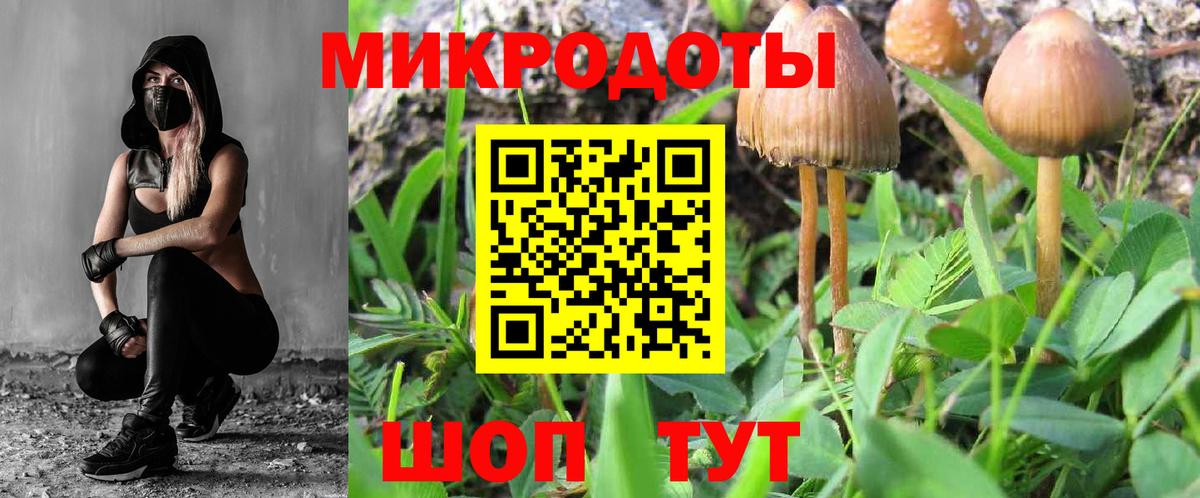 Галлюциногенные грибы Magic Shrooms  Вход с VPN  Ачхой-Мартан 