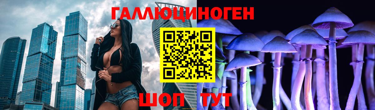 Псилоцибиновые грибы мицелий Ачхой-Мартан