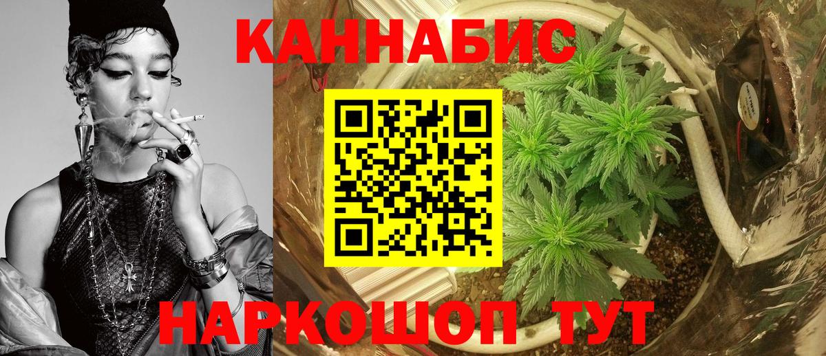 Бошки марихуана тримм  Вход с VPN  Марихуана планчик  Ачхой-Мартан  Марихуана сатива 
